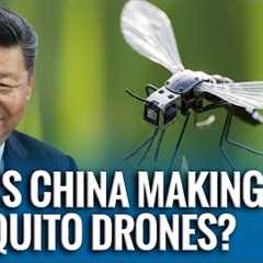 China’s Tiny Mosquito-Sized Drone Could Revolutionize Modern Warfare