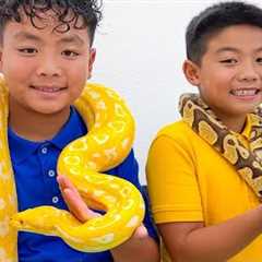 Alex Eric and Ellie Reptile Animal Rescue Adventure