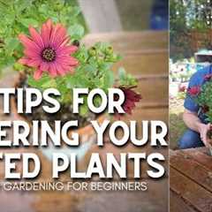 💦 3 Tips for Watering Potted Plants #shorts | Container Gardening for Beginners 💦