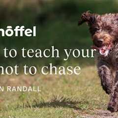 How to stop your dog chasing | Dog training tips for country life, with Ben Randall