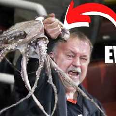 10 Craziest Things Fans Have Thrown at Sporting Events