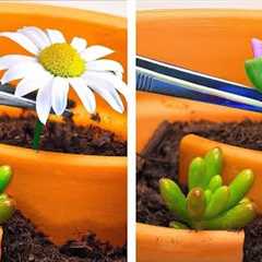 Secret Gardening Hacks for Beginners: Grow Your Green Thumb