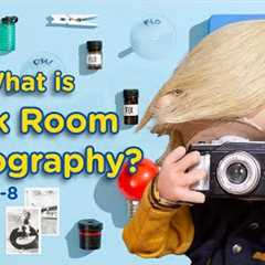 Film Photography For Kids | Bennys Mini World | Learn About Darkrooms