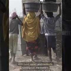 Gaza Crisis Worsens: Dozens Killed Waiting for Food as Aid Runs Out