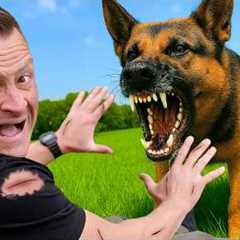 I Got BIT by 5 Police Dogs! – PAIN SCALE: 1 to 10