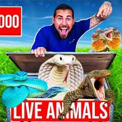 $100,000 Reptile UNBOXING! (Indonesia Import)