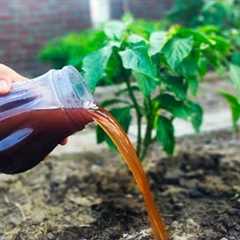 Say Goodbye to Expensive Fertilizers: This Weed Trick Will Blow Your Mind