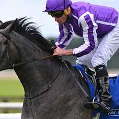 €400,000 colt DORSET looks exciting for Aidan O'Brien | Racing TV
