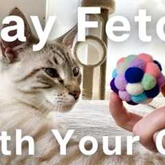 Teach your CAT to play FETCH! Simple step-by-step cat training for beginners
