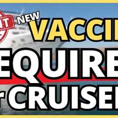 URGENT: NEW VACCINE REQUIRED FOR TRAVEL TO POPULAR CRUISE PORT