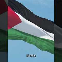 Gaza Crisis News Update #news #facts #trending #trend #politics #tragedy #global #conflict #military