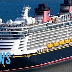 Dad Jumps Overboard After Daughter Falls From Disney Cruise Ship | E! News