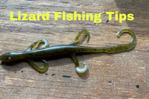 How To Rig And Fish A Soft Plastic Lizard