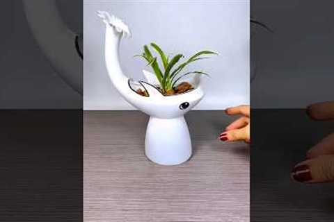 Best plant for home garden, #gardening #plants #flowers