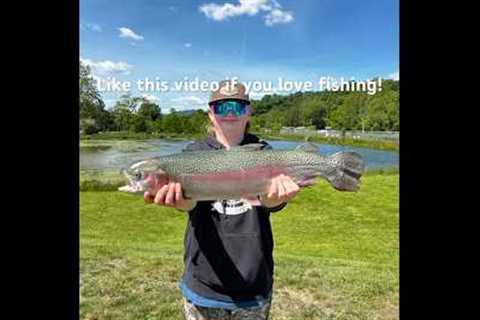 Like this video if you love fishing! #shorts #fish #fishing