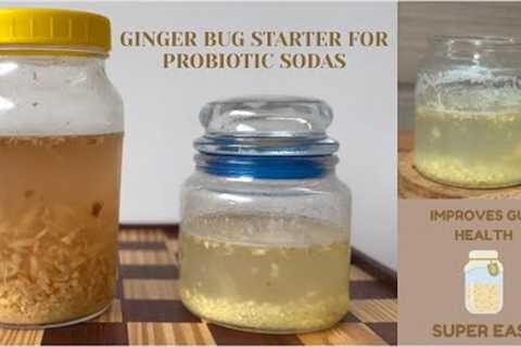 How to make a ginger bug starter for probiotic sodas/ Natural Fermentation