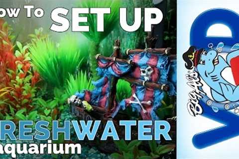 How to Set Up a Freshwater Aquarium | Big Al's