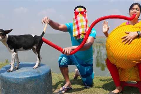 Very Special Trending Funny Comedy Video 2025 😂Amazing Comedy Video 2025 Episode 324 Busy Fun Ltd