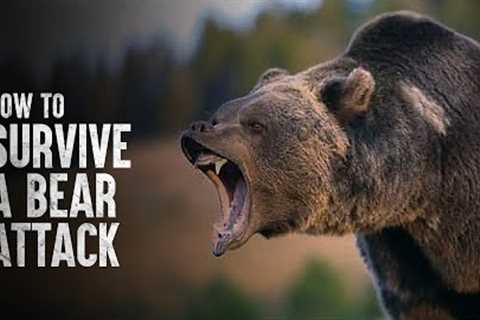 How to Survive a Bear Attack, According to Science