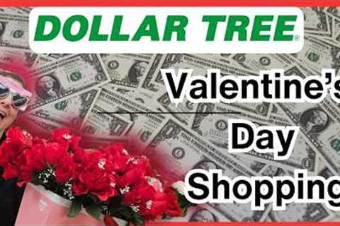 WHAT? So Many Valentine's Gifts and DIY Ideas at Dollar Tree? WOW!