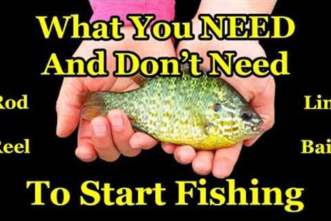 Beginners' Guide to Fishing Gear - How to Start Fishing With a Rod and Reel