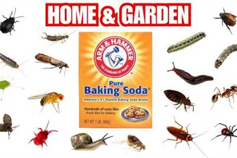 How To Turn Baking Soda Into A Powerful Pesticide For Home & Garden