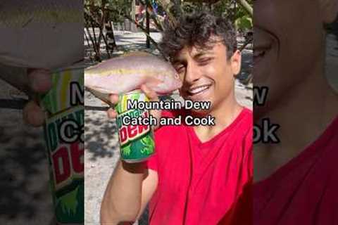 Catching Fish with Mountain Dew