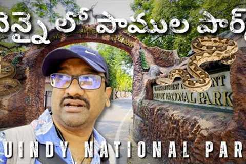 🌳 Guindy National Park & Snake Park Chennai 🐍 | Wildlife Adventure in Tamil Nadu | Must Visit ..