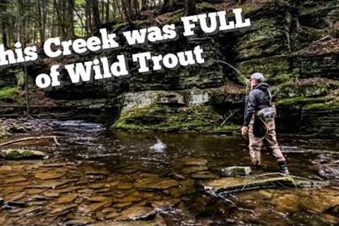 DISCOVERED an OVERLOOKED CREEK FULL of WILD TROUT - Fly Fishing Central NY