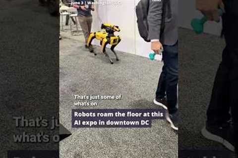 Robots roam the floor among racing drones at this AI expo in Downtown DC