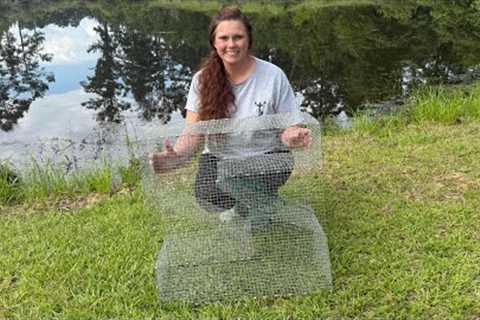 DIY How To Make a Z-TRAP!! Catches 100's Of Bream For BEST Giant Catfish BAIT!!