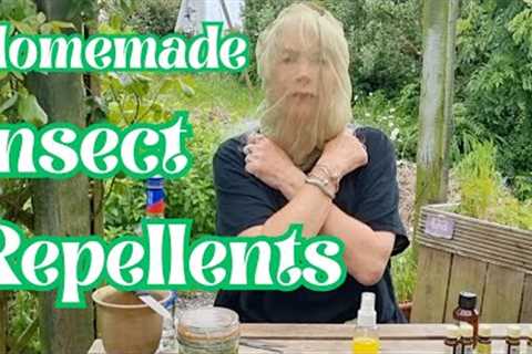 Homemade Insect Repellents