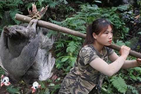 wild bird trapping skills with rope, making shelter for wild chickens, survival alone