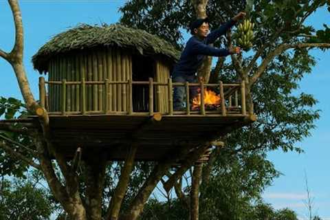 Build a Dream Tree House with a Porch Kitchen to Stay Safe from Wild Animals Below