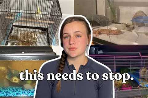 The Common Neglect of Small and Exotic Pets