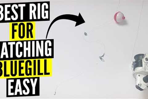Best rig for catching bluegill - EASY