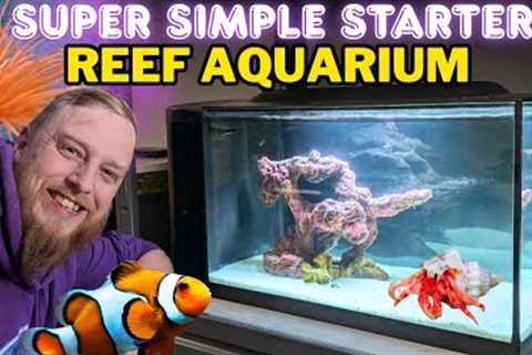 How to Set Up a Saltwater Aquarium: Step by Step Beginner's Guide