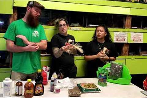 NJ Exotic Pets Skunk Care Info