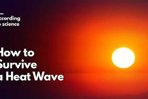 How to Survive a Heat Wave, According to Science