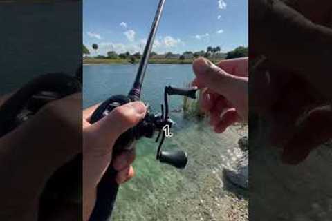 What spot are you fishing!?🤷🏽‍♂️🎣#viral #fishing #shorts #shortvideo