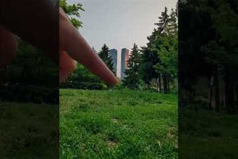Take BETTER PHOTOS 📷 with ANY camera!