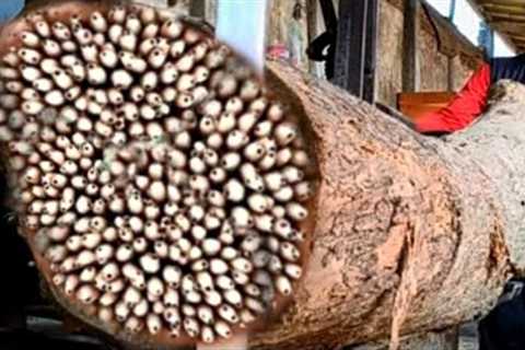 shocking! discovery while chopping large teak wood at sawmill
