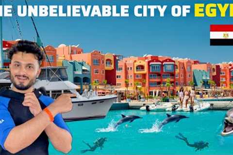 Scuba Diving with Dolphins in Red Sea, Egypt! 🇪🇬