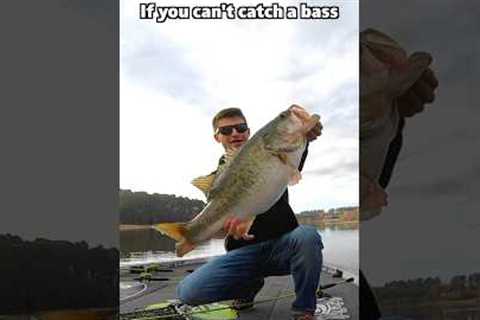 Can’t catch a bass? Throw these 3 baits! #fishingtips #fishing #bassfishing