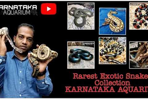 Rarest Exotic Snakes Collection At KARNATAKA AQUARIUM | Exotic Reptiles And Pets In #india #reptile