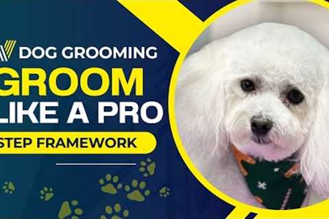 Dog Grooming-Guide for Beginners Instructional video