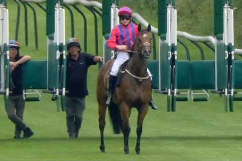 The racehorse who tries not to win! | Racing TV