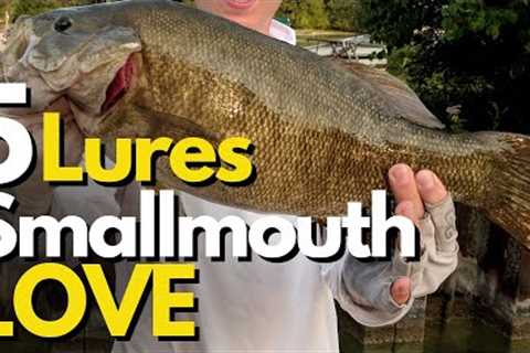 5 Best Smallmouth Bass Lures Based on Their Behavior