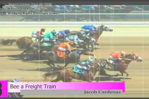 307 Horse Racing, Energy Downs, June 15 2025, Race 3 (110 Yards)