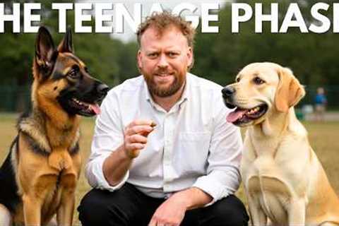 Dog Training MISTAKES In The TEENAGE PHASE!